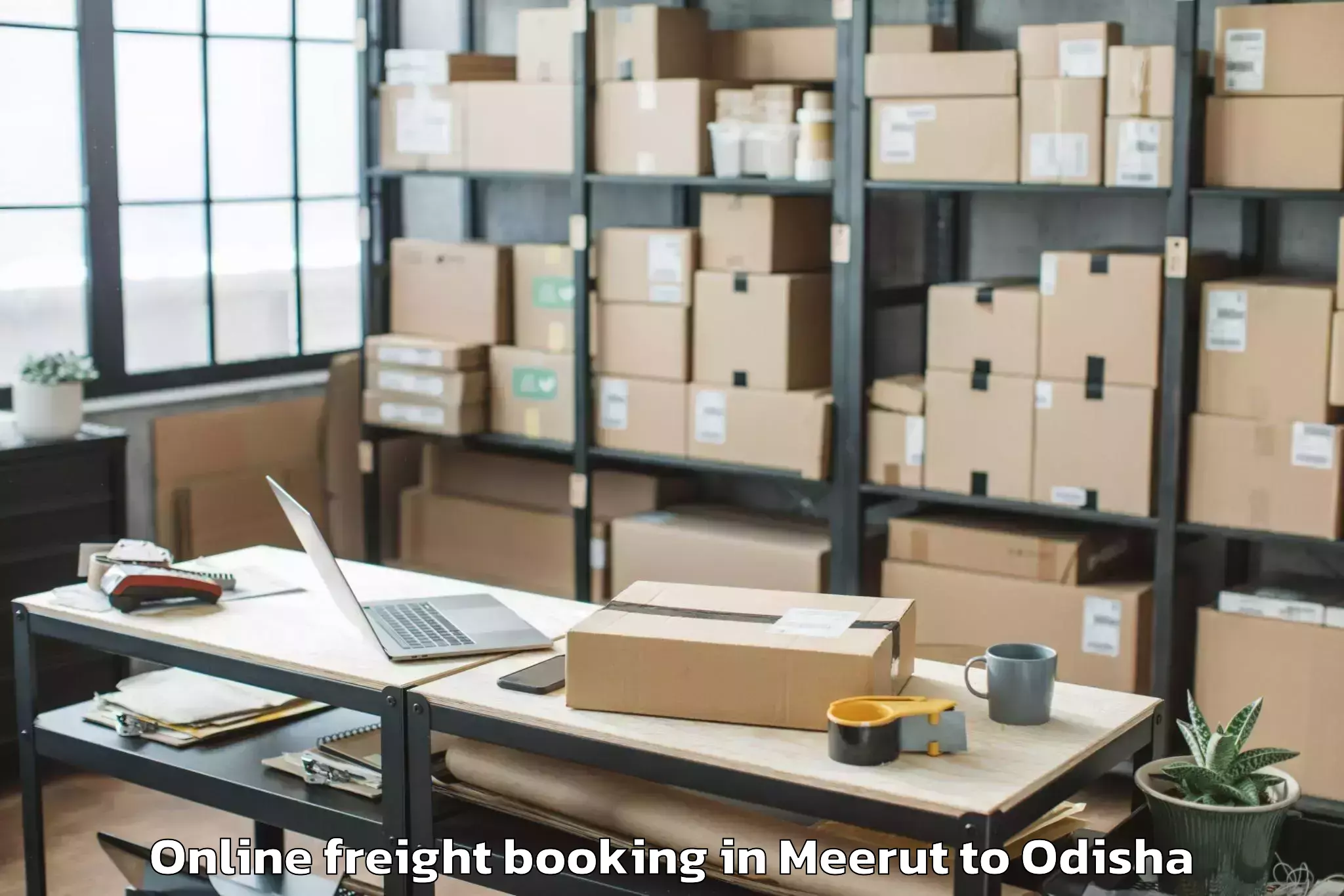 Affordable Meerut to Lephripara Online Freight Booking